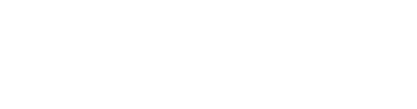 Pilot2Scale Logo
